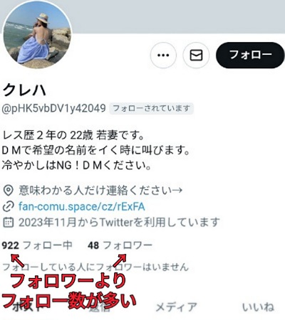 SNS X (旧Twitter)出会いの危険性